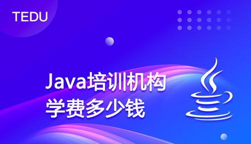成人編程班大概多少錢？